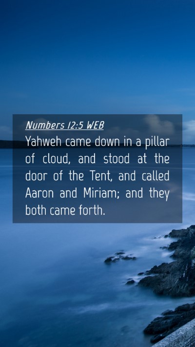 Picture 04 - Numbers 12:5 WEB Mobile Phone Wallpaper - Yahweh came down in a pillar of cloud, and stood - Mobile Bible Verse Wallpaper