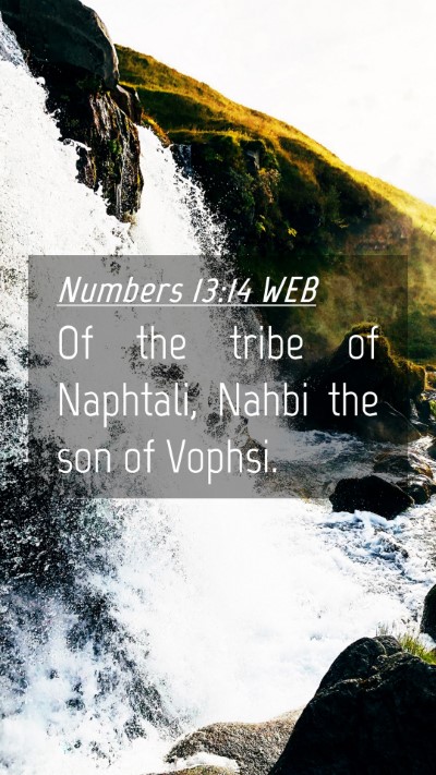 Picture 04 - Numbers 13:14 WEB Mobile Phone Wallpaper - Of the tribe of Naphtali, Nahbi the son of - Mobile Bible Verse Wallpaper