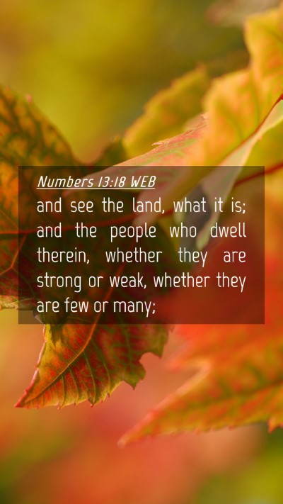 Picture 04 - Numbers 13:18 WEB Mobile Phone Wallpaper - and see the land, what it is; and the people who - Mobile Bible Verse Wallpaper