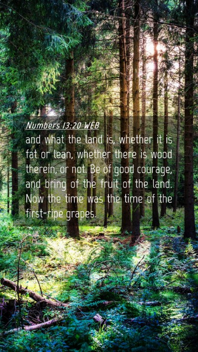 Picture 04 - Numbers 13:20 WEB Mobile Phone Wallpaper - and what the land is, whether it is fat or lean, - Mobile Bible Verse Wallpaper