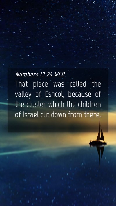 Picture 04 - Numbers 13:24 WEB Mobile Phone Wallpaper - That place was called the valley of Eshcol, - Mobile Bible Verse Wallpaper