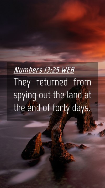 Picture 04 - Numbers 13:25 WEB Mobile Phone Wallpaper - They returned from spying out the land at the end - Mobile Bible Verse Wallpaper