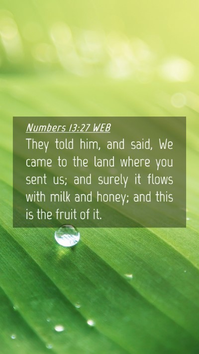 Picture 04 - Numbers 13:27 WEB Mobile Phone Wallpaper - They told him, and said, We came to the land - Mobile Bible Verse Wallpaper