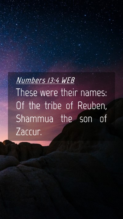 Picture 04 - Numbers 13:4 WEB Mobile Phone Wallpaper - These were their names: Of the tribe of Reuben, - Mobile Bible Verse Wallpaper