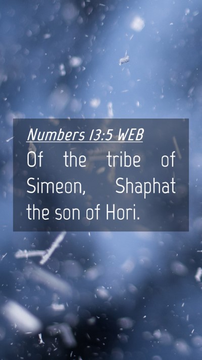 Picture 04 - Numbers 13:5 WEB Mobile Phone Wallpaper - Of the tribe of Simeon, Shaphat the son of - Mobile Bible Verse Wallpaper
