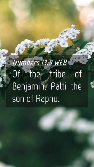 Picture 04 - Numbers 13:9 WEB Mobile Phone Wallpaper - Of the tribe of Benjamin, Palti the son of - Mobile Bible Verse Wallpaper