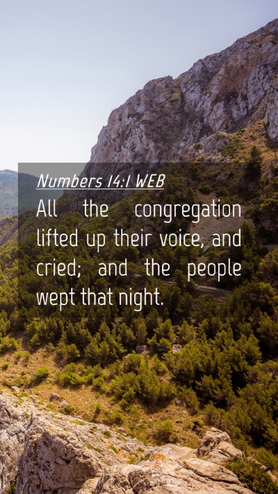 Picture 04 - Numbers 14:1 WEB Mobile Phone Wallpaper - All the congregation lifted up their voice, and - Mobile Bible Verse Wallpaper