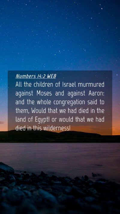 Picture 04 - Numbers 14:2 WEB Mobile Phone Wallpaper - All the children of Israel murmured against Moses - Mobile Bible Verse Wallpaper
