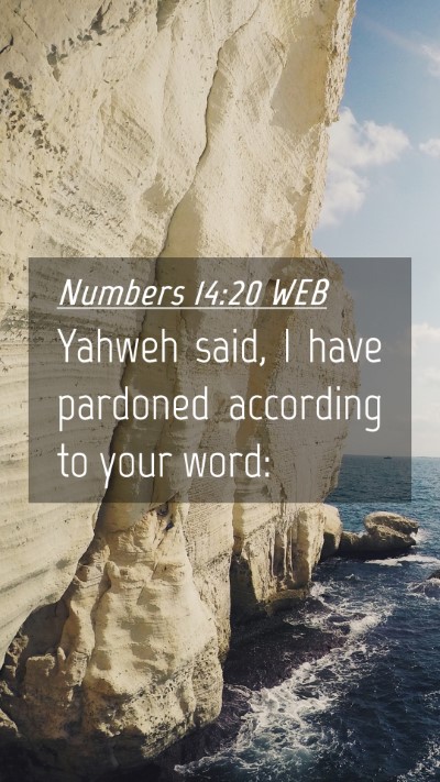 Picture 04 - Numbers 14:20 WEB Mobile Phone Wallpaper - Yahweh said, I have pardoned according to your - Mobile Bible Verse Wallpaper