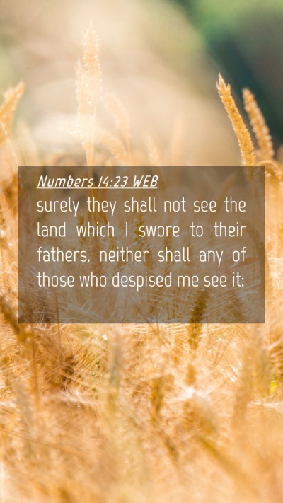 Picture 04 - Numbers 14:23 WEB Mobile Phone Wallpaper - surely they shall not see the land which I swore - Mobile Bible Verse Wallpaper