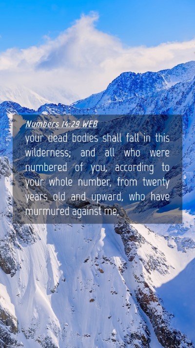 Picture 04 - Numbers 14:29 WEB Mobile Phone Wallpaper - your dead bodies shall fall in this wilderness; - Mobile Bible Verse Wallpaper