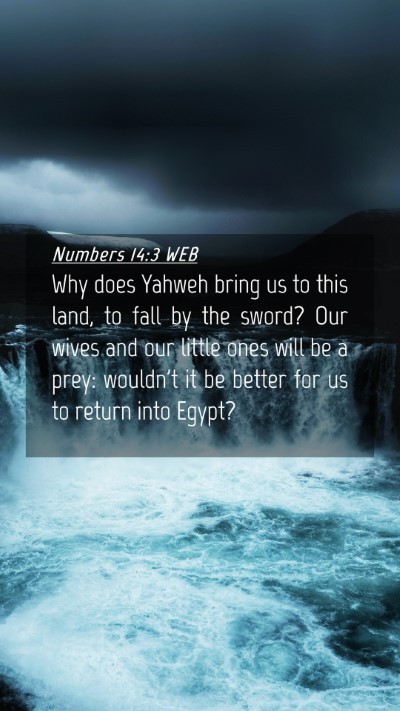 Picture 04 - Numbers 14:3 WEB Mobile Phone Wallpaper - Why does Yahweh bring us to this land, to fall by - Mobile Bible Verse Wallpaper