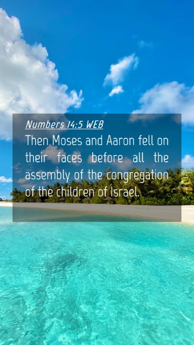 Picture 04 - Numbers 14:5 WEB Mobile Phone Wallpaper - Then Moses and Aaron fell on their faces before - Mobile Bible Verse Wallpaper