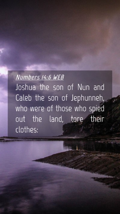 Picture 04 - Numbers 14:6 WEB Mobile Phone Wallpaper - Joshua the son of Nun and Caleb the son of - Mobile Bible Verse Wallpaper