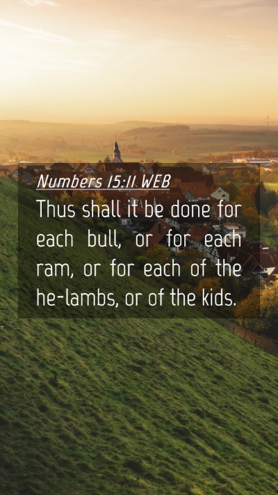 Picture 04 - Numbers 15:11 WEB Mobile Phone Wallpaper - Thus shall it be done for each bull, or for each - Mobile Bible Verse Wallpaper