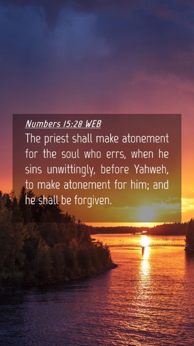 Picture 04 - Numbers 15:28 WEB Mobile Phone Wallpaper - The priest shall make atonement for the soul who - Mobile Bible Verse Wallpaper
