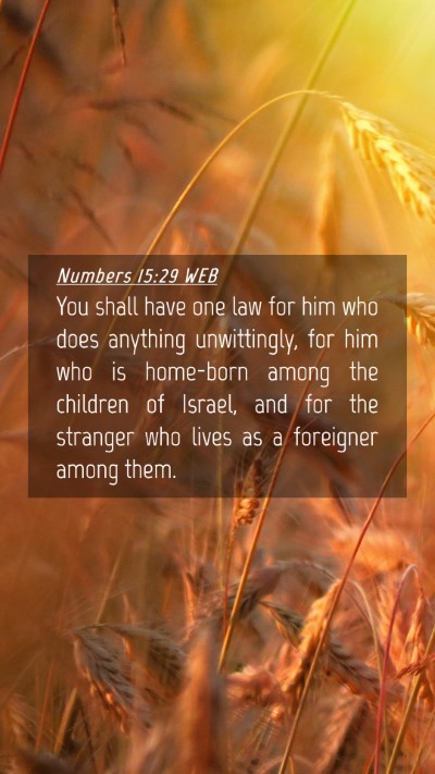 Picture 04 - Numbers 15:29 WEB Mobile Phone Wallpaper - You shall have one law for him who does anything - Mobile Bible Verse Wallpaper