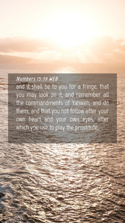 Picture 04 - Numbers 15:39 WEB Mobile Phone Wallpaper - and it shall be to you for a fringe, that you may - Mobile Bible Verse Wallpaper