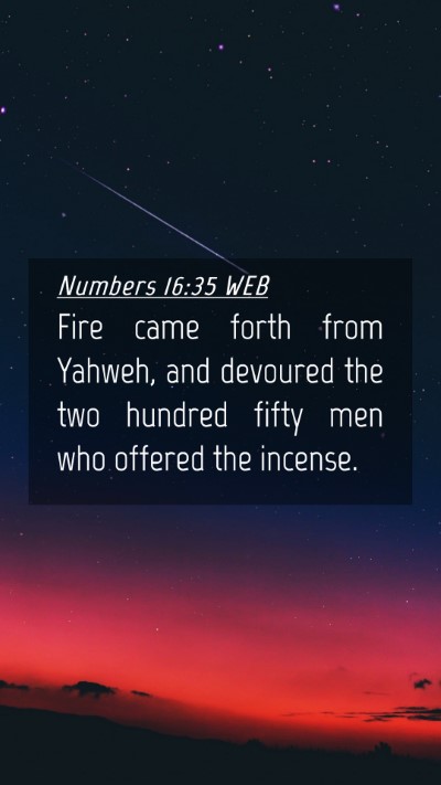 Picture 04 - Numbers 16:35 WEB Mobile Phone Wallpaper - Fire came forth from Yahweh, and devoured the two - Mobile Bible Verse Wallpaper
