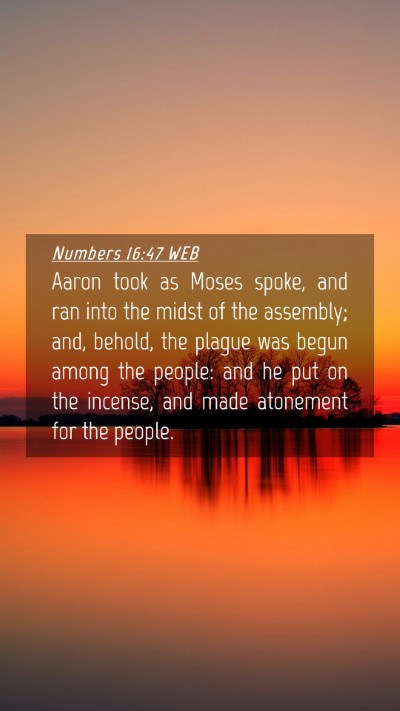 Picture 04 - Numbers 16:47 WEB Mobile Phone Wallpaper - Aaron took as Moses spoke, and ran into the midst - Mobile Bible Verse Wallpaper