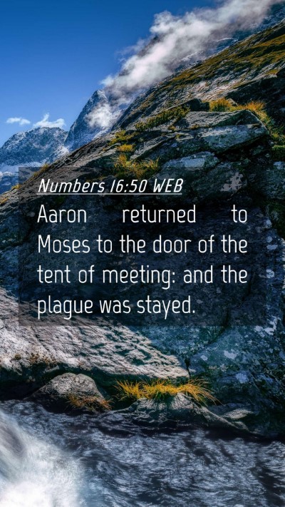 Picture 04 - Numbers 16:50 WEB Mobile Phone Wallpaper - Aaron returned to Moses to the door of the tent - Mobile Bible Verse Wallpaper