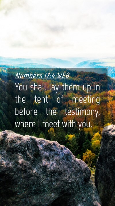 Picture 04 - Numbers 17:4 WEB Mobile Phone Wallpaper - You shall lay them up in the tent of meeting - Mobile Bible Verse Wallpaper