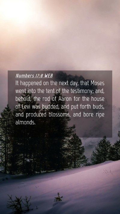 Picture 04 - Numbers 17:8 WEB Mobile Phone Wallpaper - It happened on the next day, that Moses went into - Mobile Bible Verse Wallpaper