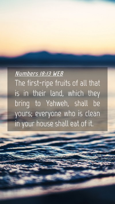 Picture 04 - Numbers 18:13 WEB Mobile Phone Wallpaper - The first-ripe fruits of all that is in their - Mobile Bible Verse Wallpaper