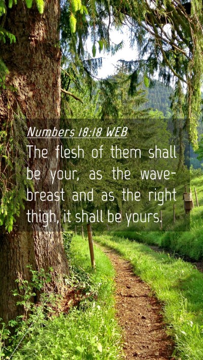 Picture 04 - Numbers 18:18 WEB Mobile Phone Wallpaper - The flesh of them shall be your, as the - Mobile Bible Verse Wallpaper