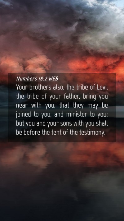 Picture 04 - Numbers 18:2 WEB Mobile Phone Wallpaper - Your brothers also, the tribe of Levi, the tribe - Mobile Bible Verse Wallpaper