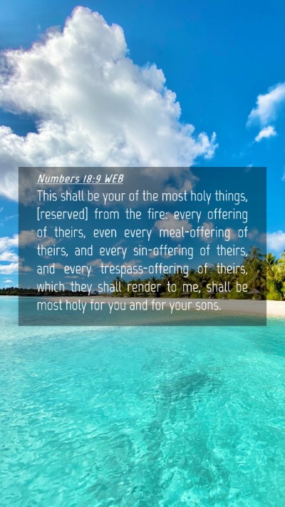 Picture 04 - Numbers 18:9 WEB Mobile Phone Wallpaper - This shall be your of the most holy things, - Mobile Bible Verse Wallpaper