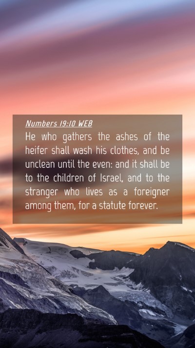 Picture 04 - Numbers 19:10 WEB Mobile Phone Wallpaper - He who gathers the ashes of the heifer shall wash - Mobile Bible Verse Wallpaper