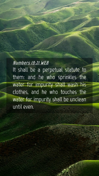 Picture 04 - Numbers 19:21 WEB Mobile Phone Wallpaper - It shall be a perpetual statute to them: and he - Mobile Bible Verse Wallpaper