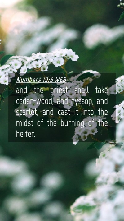 Picture 04 - Numbers 19:6 WEB Mobile Phone Wallpaper - and the priest shall take cedar-wood, and hyssop, - Mobile Bible Verse Wallpaper