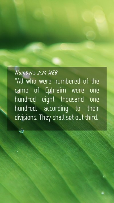 Picture 04 - Numbers 2:24 WEB Mobile Phone Wallpaper - 