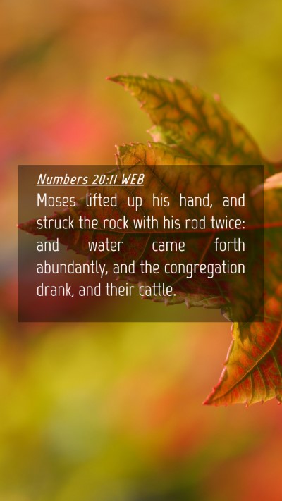 Picture 04 - Numbers 20:11 WEB Mobile Phone Wallpaper - Moses lifted up his hand, and struck the rock - Mobile Bible Verse Wallpaper