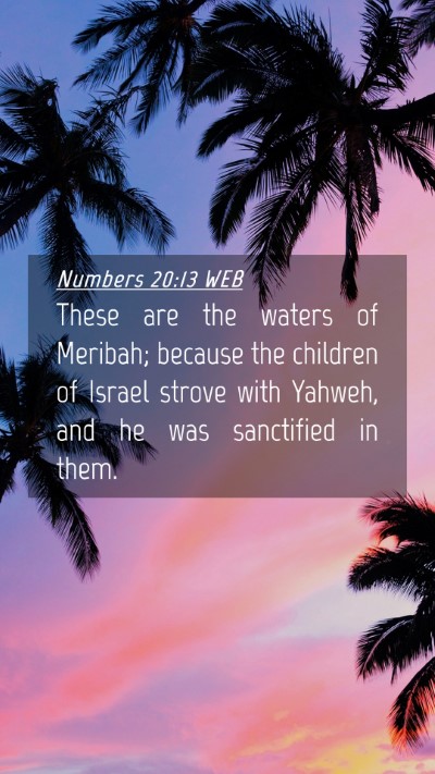 Picture 04 - Numbers 20:13 WEB Mobile Phone Wallpaper - These are the waters of Meribah; because the - Mobile Bible Verse Wallpaper
