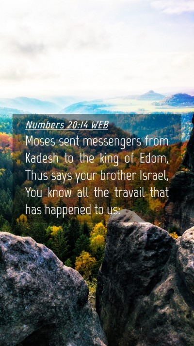 Picture 04 - Numbers 20:14 WEB Mobile Phone Wallpaper - Moses sent messengers from Kadesh to the king of - Mobile Bible Verse Wallpaper