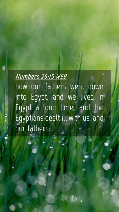 Picture 04 - Numbers 20:15 WEB Mobile Phone Wallpaper - how our fathers went down into Egypt, and we - Mobile Bible Verse Wallpaper
