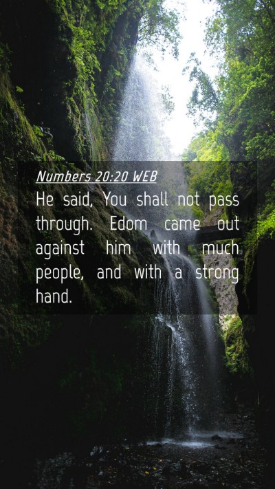 Picture 04 - Numbers 20:20 WEB Mobile Phone Wallpaper - He said, You shall not pass through. Edom came - Mobile Bible Verse Wallpaper