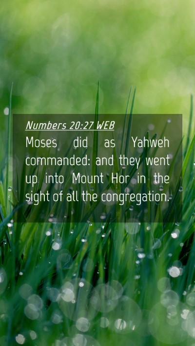 Picture 04 - Numbers 20:27 WEB Mobile Phone Wallpaper - Moses did as Yahweh commanded: and they went up - Mobile Bible Verse Wallpaper