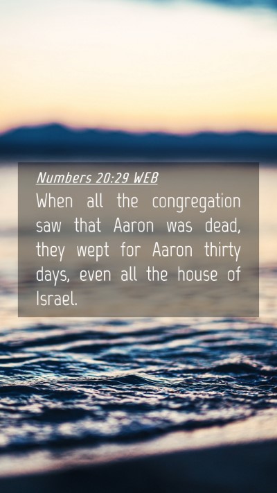 Picture 04 - Numbers 20:29 WEB Mobile Phone Wallpaper - When all the congregation saw that Aaron was - Mobile Bible Verse Wallpaper