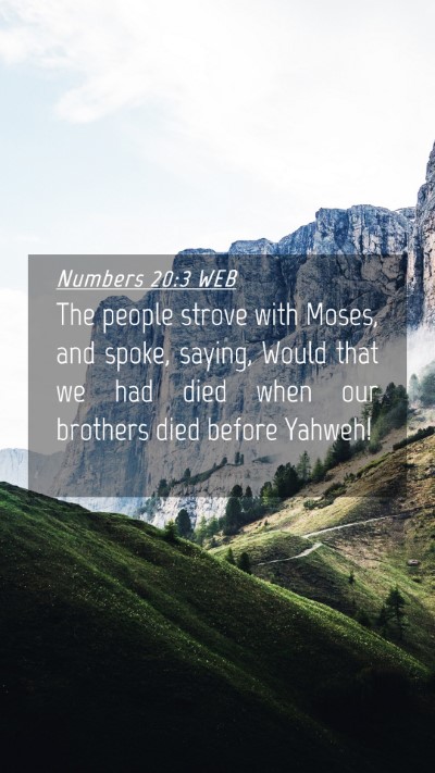 Picture 04 - Numbers 20:3 WEB Mobile Phone Wallpaper - The people strove with Moses, and spoke, saying, - Mobile Bible Verse Wallpaper