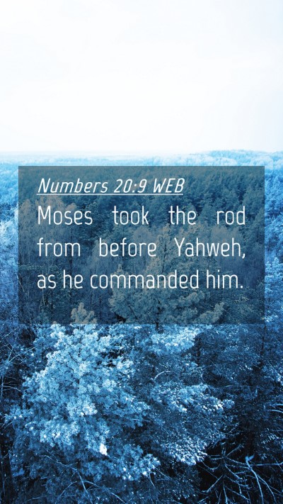 Picture 04 - Numbers 20:9 WEB Mobile Phone Wallpaper - Moses took the rod from before Yahweh, as he - Mobile Bible Verse Wallpaper