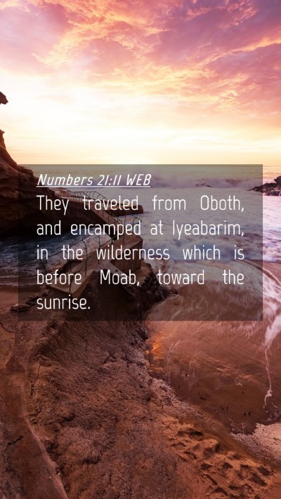 Picture 04 - Numbers 21:11 WEB Mobile Phone Wallpaper - They traveled from Oboth, and encamped at - Mobile Bible Verse Wallpaper