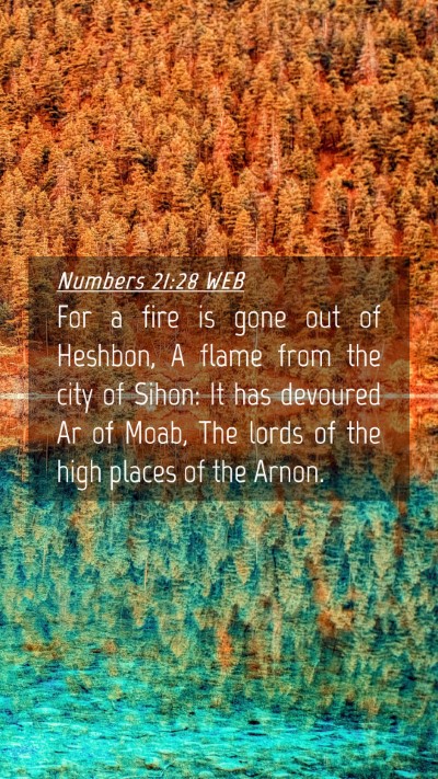 Picture 04 - Numbers 21:28 WEB Mobile Phone Wallpaper - For a fire is gone out of Heshbon, A flame from - Mobile Bible Verse Wallpaper