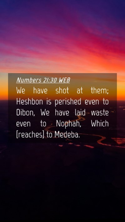 Picture 04 - Numbers 21:30 WEB Mobile Phone Wallpaper - We have shot at them; Heshbon is perished even to - Mobile Bible Verse Wallpaper