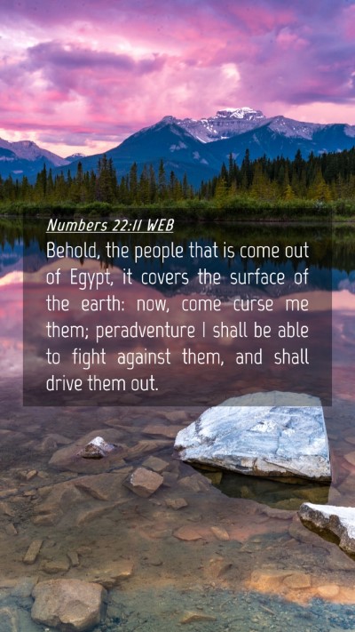 Picture 04 - Numbers 22:11 WEB Mobile Phone Wallpaper - Behold, the people that is come out of Egypt, it - Mobile Bible Verse Wallpaper