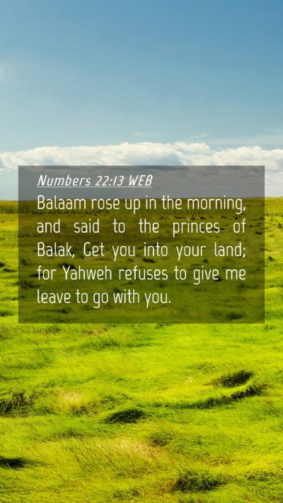 Picture 04 - Numbers 22:13 WEB Mobile Phone Wallpaper - Balaam rose up in the morning, and said to the - Mobile Bible Verse Wallpaper
