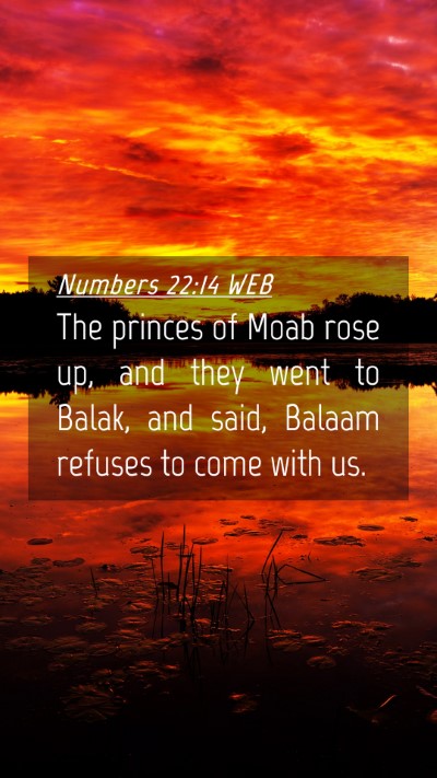 Picture 04 - Numbers 22:14 WEB Mobile Phone Wallpaper - The princes of Moab rose up, and they went to - Mobile Bible Verse Wallpaper
